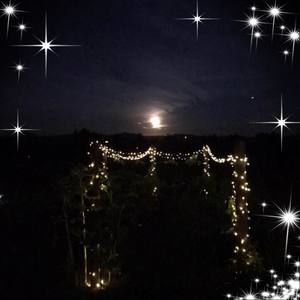 Meet your Posher, Marie